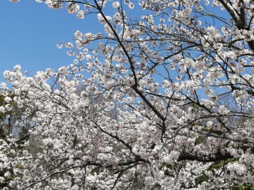 気持ちがモヤモヤする時に！！超カンタンでおススメの不安解消法