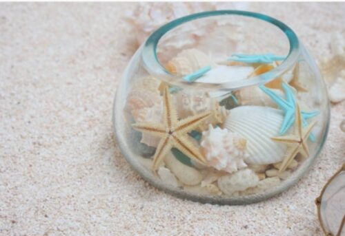 おすすめ英語絵本　Brown Bear