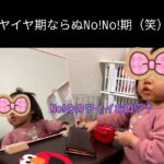 〇〇〇さえあれば!ママにはカンタンにできるのに英語教室にはできないこと