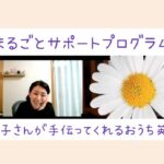子どもに見返りを求めるのはNG!おうち英語は○○のためにするとうまくいく!
