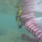 ハワイ通の友達が教えてくれた、ハワイの物価に負けずにハワイを満喫する方法!