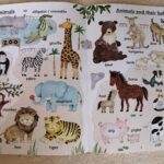 【開催】人生初の英語絵本を借りに行った理由!知らないと損する楽しみ方♡