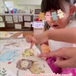 大事な英語絵本は本棚に入れるべからず