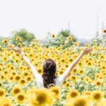 晴天の日に感じる私の仕事人生最大の幸せ