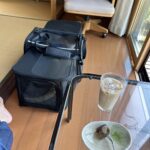 高級旅館並みのお・も・て・な・しに学ぶ!満席を作り出す秘訣